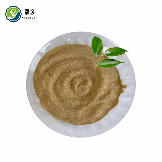 건조 맥주 효모 분말용 고품질 사료 첨가제